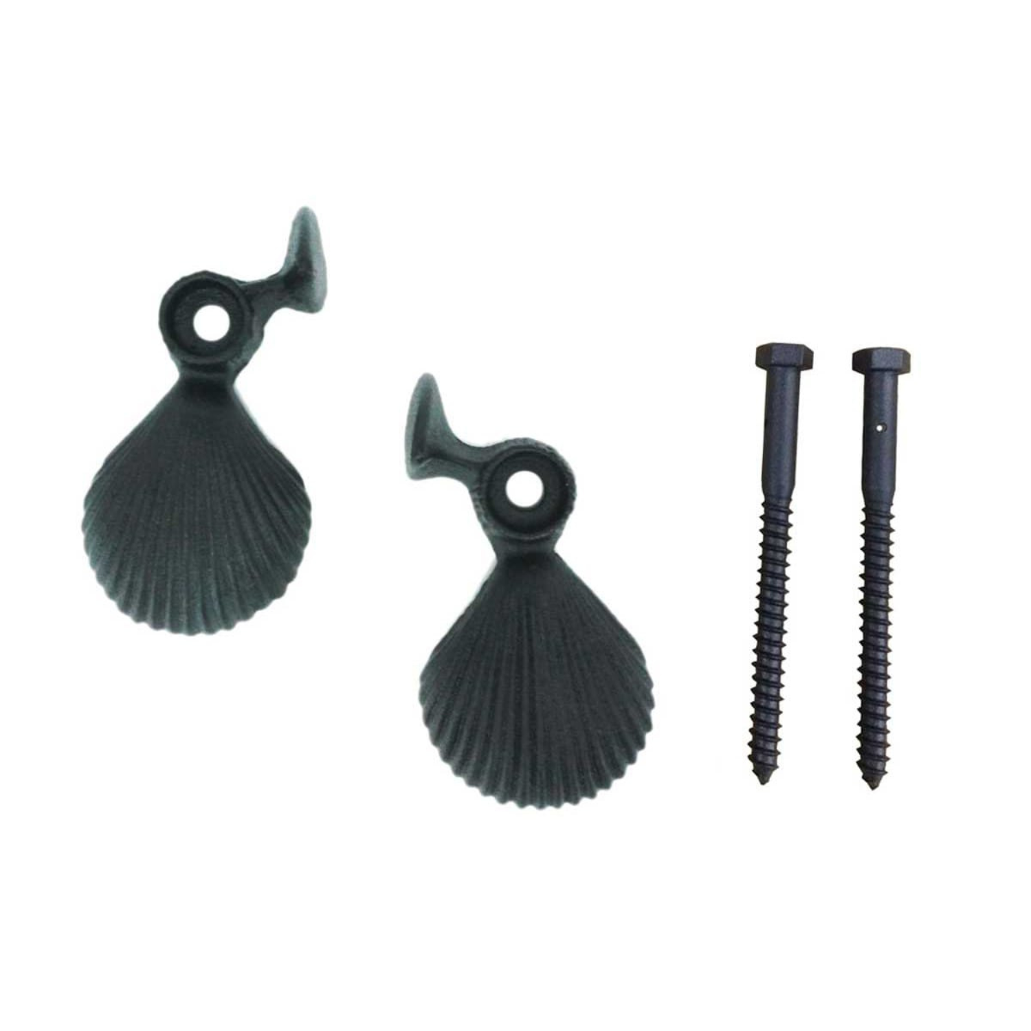 Shell with Lag | 1 Pair